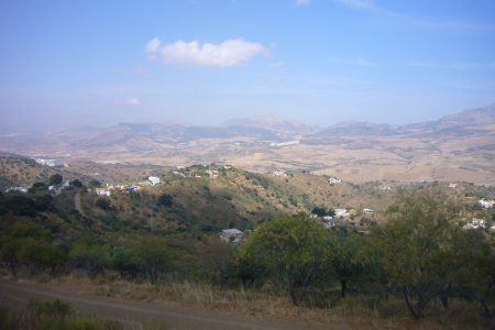 P1020334