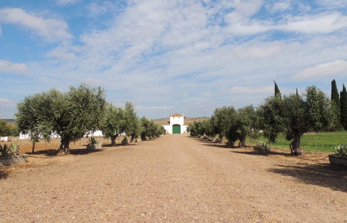Finca Cascajoso del Río 2