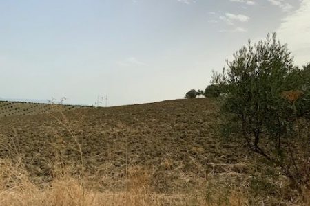 img_1982