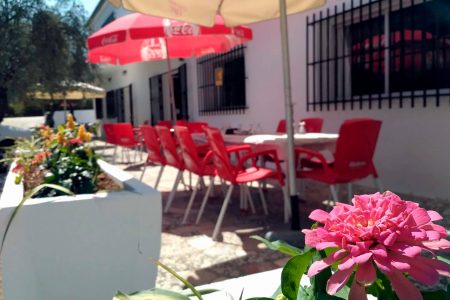 La Españita de Málaga - terraza